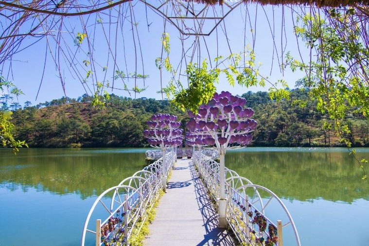 Tour Đà Lạt - Khám Phá những điểm checkin tại Đà Lạt ngàn hoa